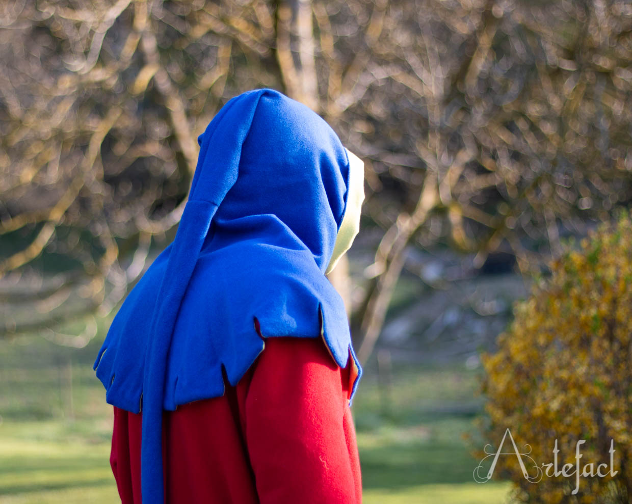 Image de diapositive